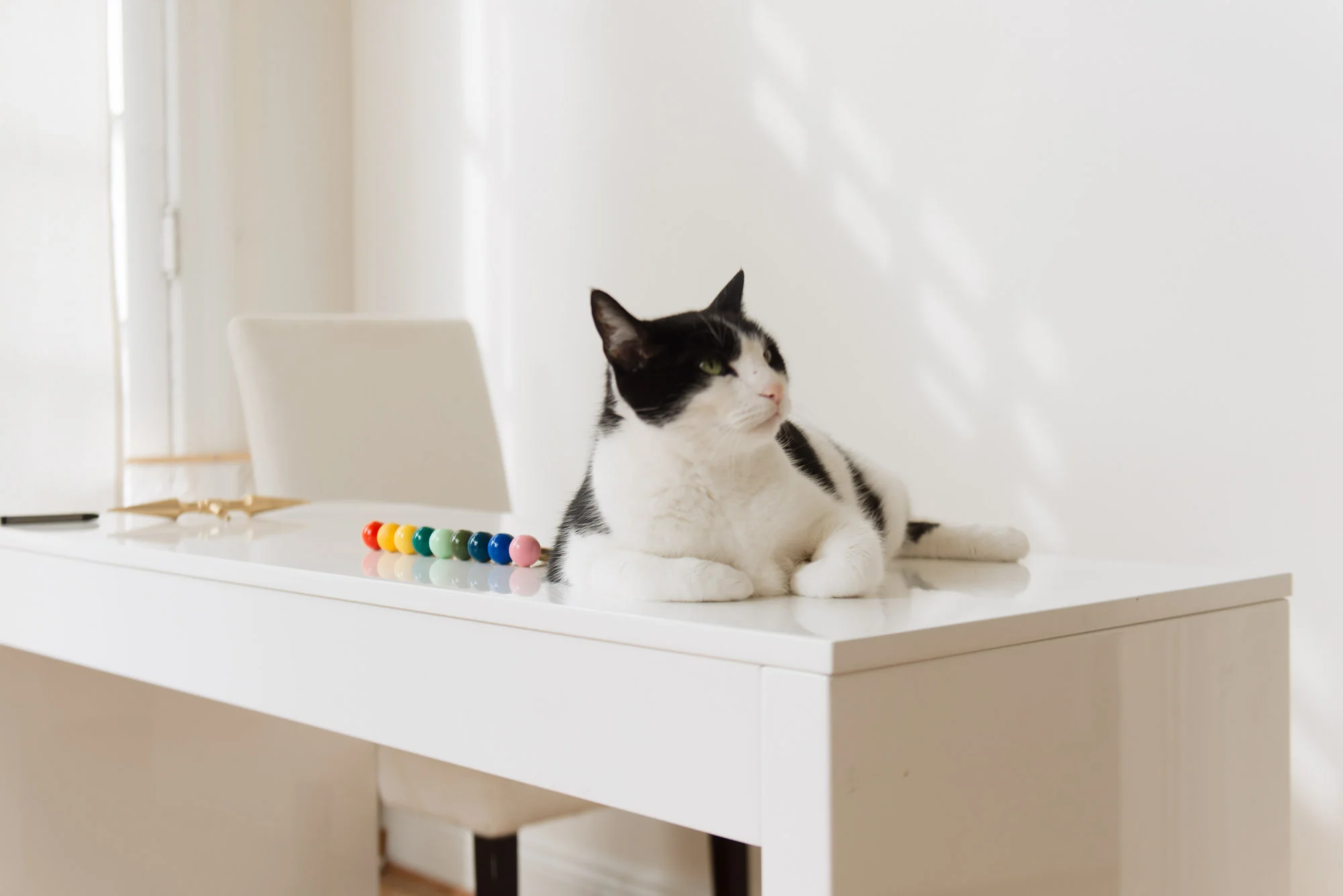 Gumball Drawer Pull - Image 18