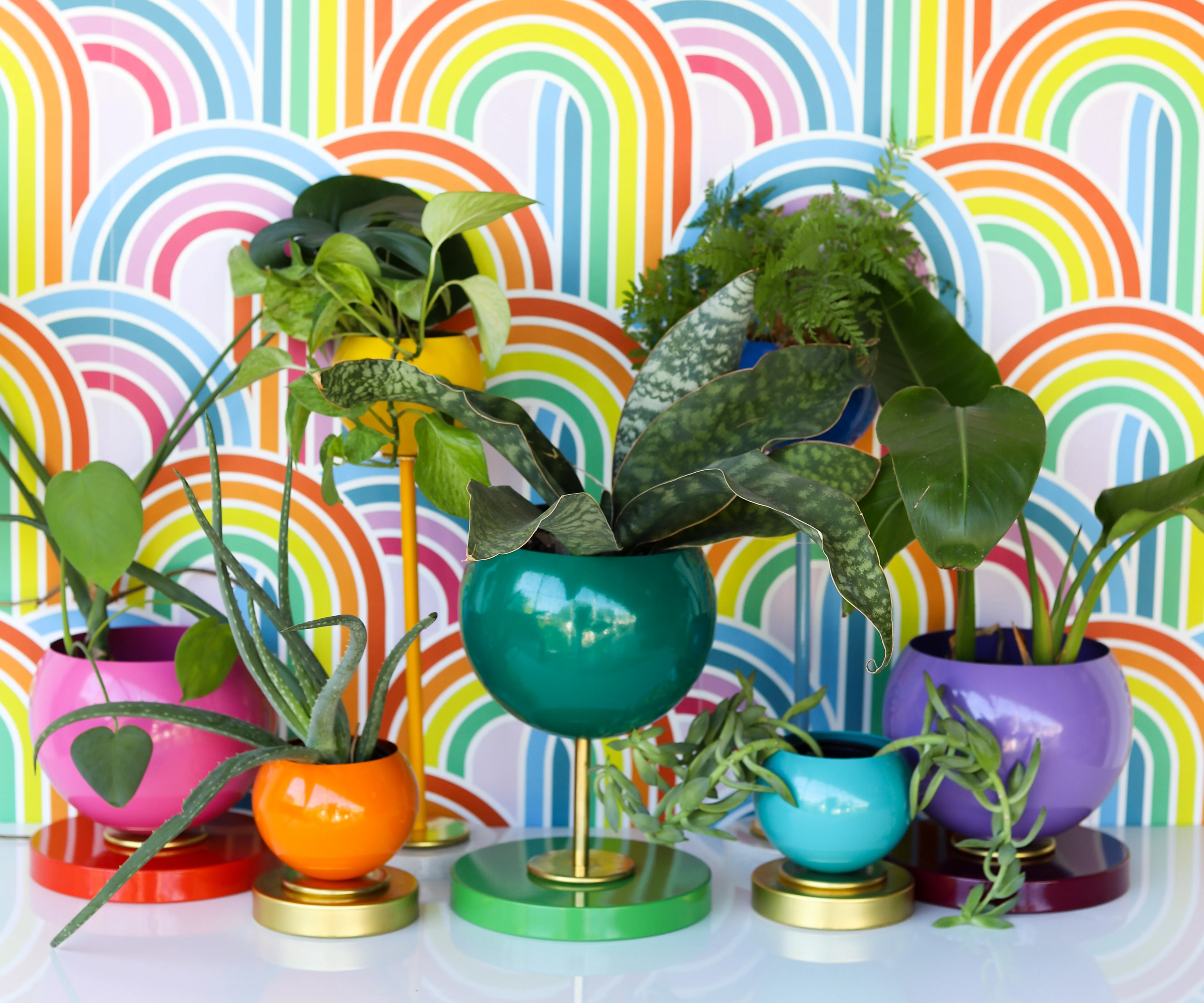 Rainbow Planter Collection - Image 3