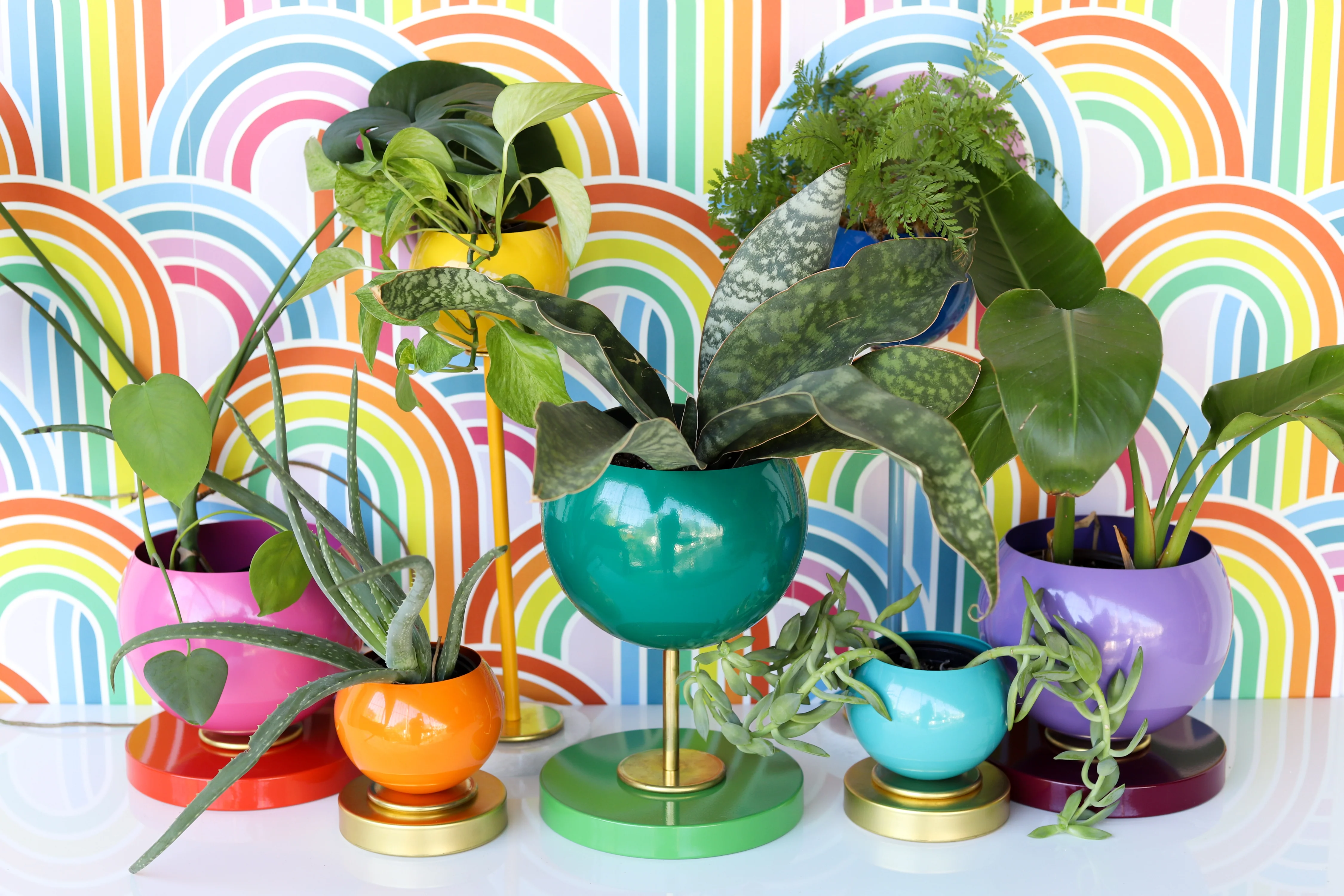 Rainbow Planter Collection - Image 5