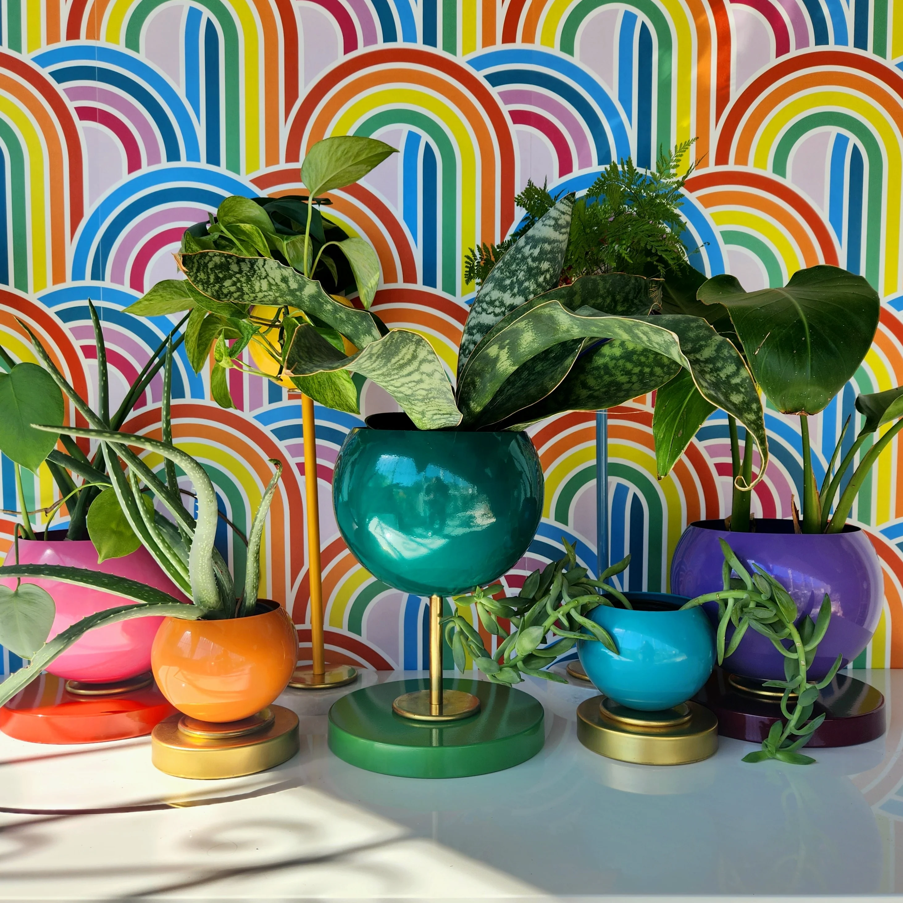 Rainbow Planter Collection - Image 6