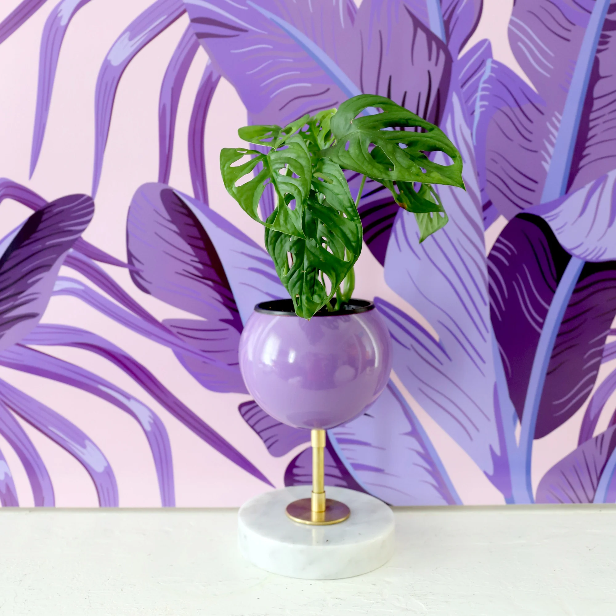 Raised Marble Loa Planter - Image 12