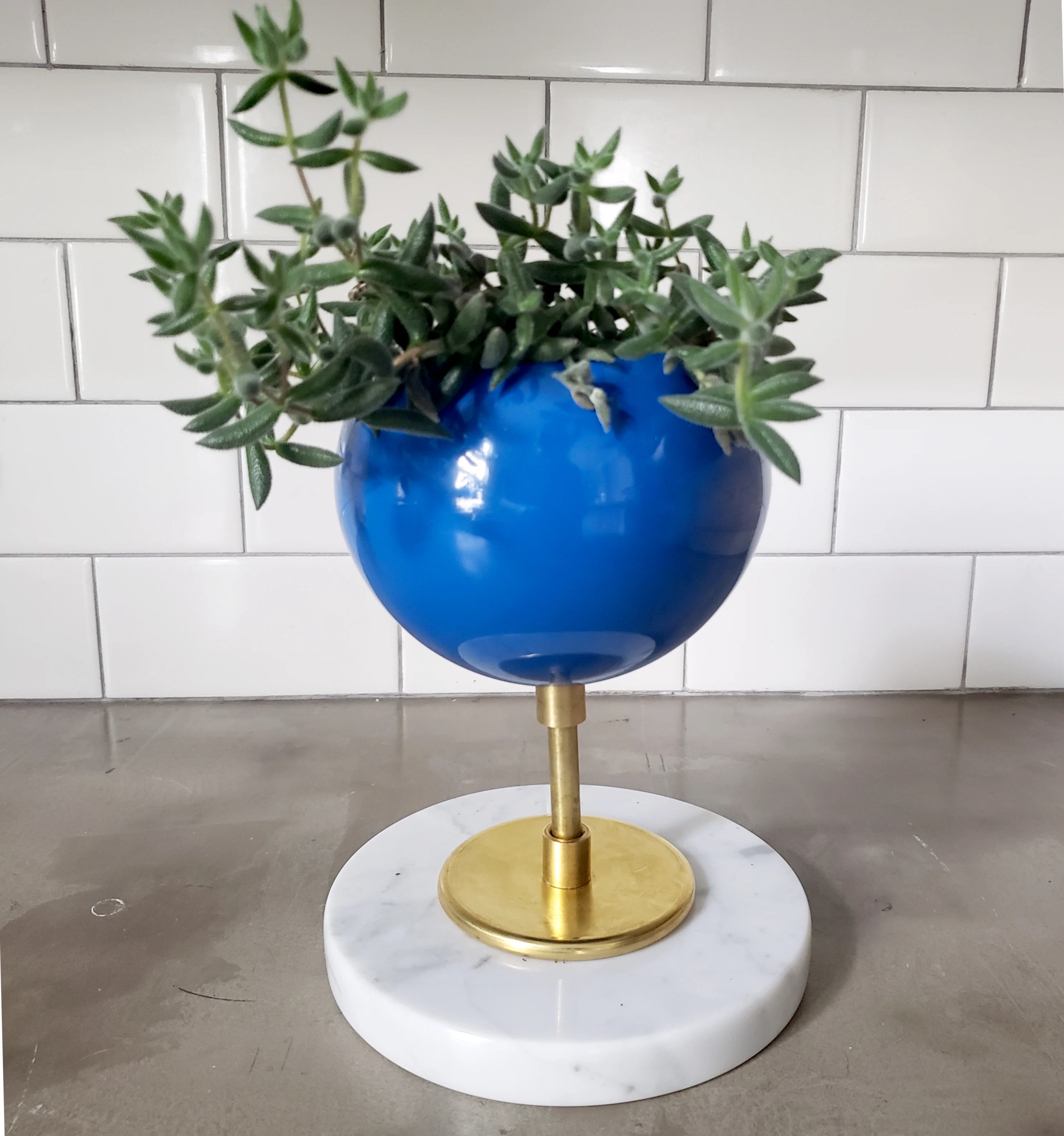 Raised Marble Loa Planter - Image 4