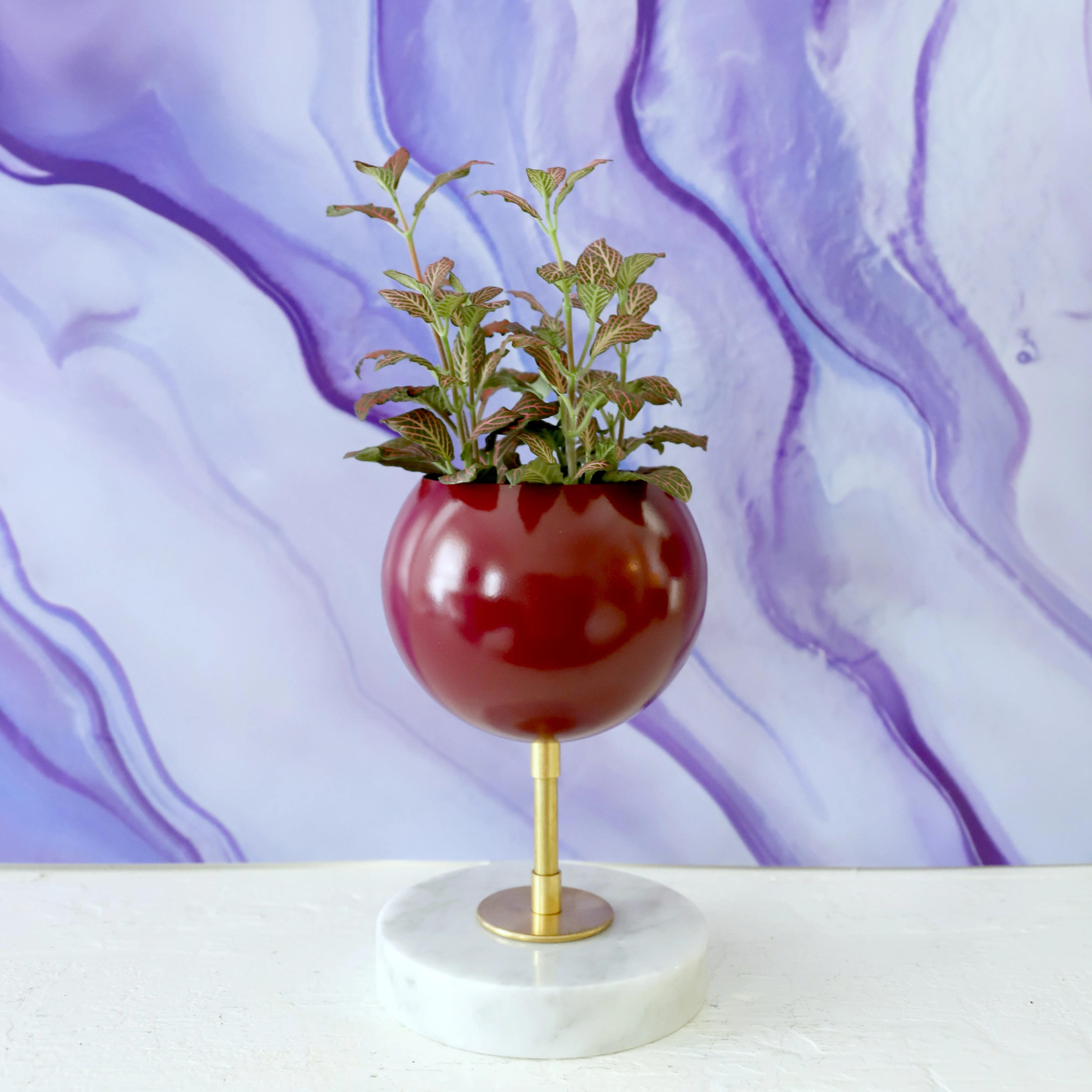 Raised Marble Loa Planter - Image 6